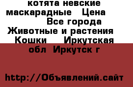 котята невские маскарадные › Цена ­ 18 000 - Все города Животные и растения » Кошки   . Иркутская обл.,Иркутск г.